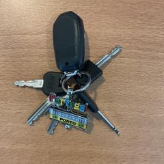 Chiavi, come riportato da Gemeente Amsterdam utilizzando iLost