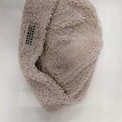 Beanie, zgłoszono przez Arriva Limburg Zuid przy użyciu iLost