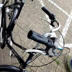 Fahrrad Gazelle, gemeldet von Arriva Friesland / Groningen über iLost