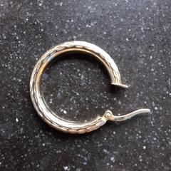 Gouden oorbel, jak bylo nahlášeno na iLost