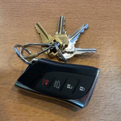 Chiavi, come riportato da Gemeente Amsterdam - Bureau Gevonden Voorwerpen utilizzando iLost