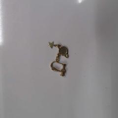 Ørering Goudkleurig, som rapportert av IKEA Heerlen ved bruk av iLost