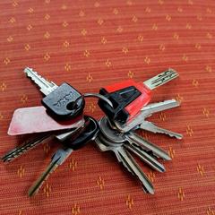 Sleutelbos a été signalé sur iLost