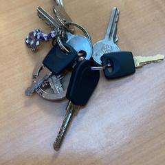 Schlüsselanhänger, gemeldet von Gemeente Zutphen über iLost