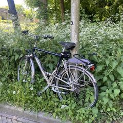 Fiets, som rapporterats till iLost