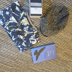 Meerdere spullen, come riportato da Canisius-Wilhelmina Ziekenhuis utilizzando iLost