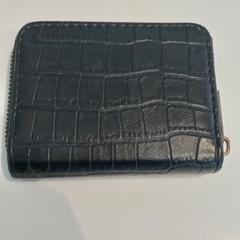Wallet Claassens, as reported by Arriva Limburg Zuid using iLost