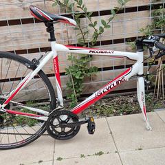 Racefiets, as reported to iLost