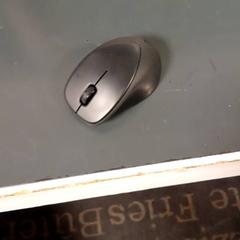 Mouse, as reported by Van der Valk Hotel Sneek using iLost