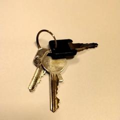 Keys, as reported by Gemeente Puurs-Sint-Amands using iLost
