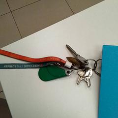 Keys, as reported by ilévia using iLost