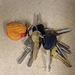 キーホルダー がiLostで Qbuzz GD Groningen Peizerweg によって報告されました