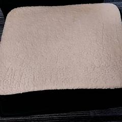 Pillow, as reported by Arriva Limburg Zuid using iLost