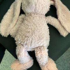 Przytulanka Knuffel konijn, zgłoszono przez Eindhoven Airport przy użyciu iLost