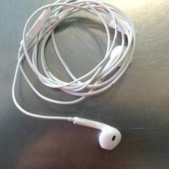 Earphones, as reported by Burgers' Zoo using iLost