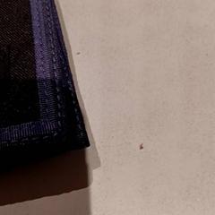 Wallet, as reported by De Efteling using iLost