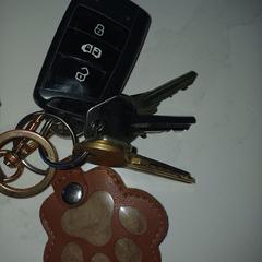 Sleutelbos met autosleutel، كما تم الإبلاغ عنه عبر iLost