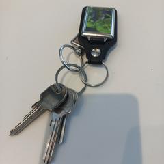 İLost kullanarak Arriva Limburg Zuid tarafından bildirildiği gibi Sleutelbos