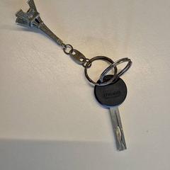 Key, as reported by Gemeente Wijk bij Duurstede using iLost