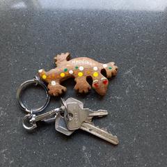 Sleutel, gerapporteerd met iLost