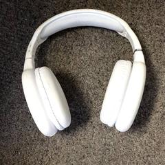 Słuchawki, zgłoszono przez Burgers' Zoo przy użyciu iLost