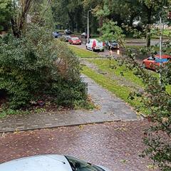 Kunderfietsje a été signalé sur iLost