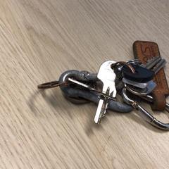 Clauer, segons ha informat Gemeente Arnhem mitjançant iLost