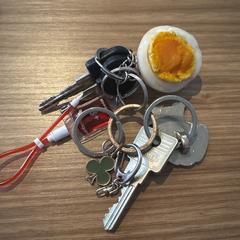 Sleutelbos, gerapporteerd met iLost