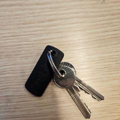 Chiavi Twee sleutels met zwarte hanger, come riportato da Gemeente Medemblik utilizzando iLost