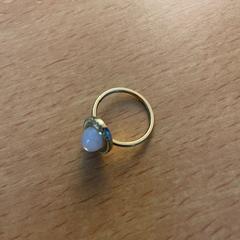 Ring, as reported by Padualaan 101 using iLost