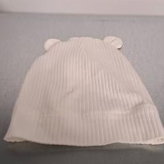 Mössa, rapporterat av Keolis Lund med iLost