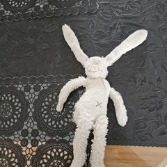 Pluizen haasje wit, jak bylo nahlášeno na iLost