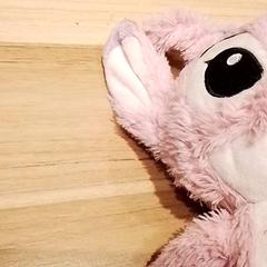 Knuffel, rapporterat av Beekse Bergen Resorts en Hotel med iLost