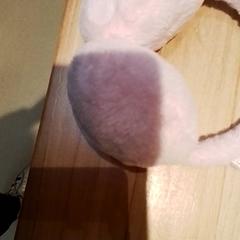 イヤーマフ Roze がiLostで Beekse Bergen Resorts en Hotel によって報告されました