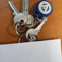 Sleutelbos, come riportato da Transdev Hoeksche Waard Goeree Overflakkee utilizzando iLost