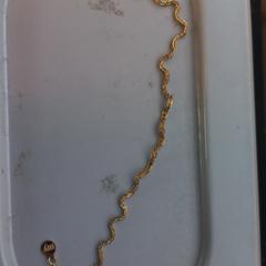 Goudkleurig kettinkje, iLost-i jakinarazi zaion moduan