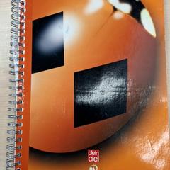 دفتر الملاحظات Orange، كما تم الإبلاغ عنه بواسطة IKEA Avignon عبر iLost