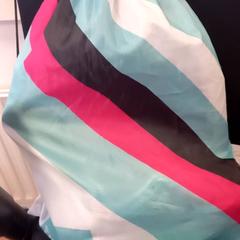 Bag, som rapportert av Arriva Limburg Zuid ved bruk av iLost