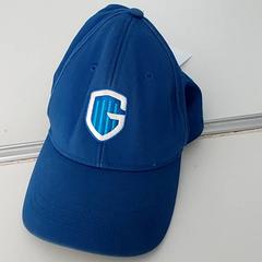 İLost kullanarak Centraal magazijn tarafından bildirildiği gibi Pet Blauw