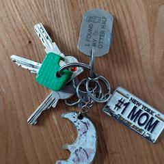 Sleutelbos, iLost'a bildirildiği gibi