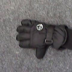 Glove maul, as reported by SnowWorld Landgraaf using iLost