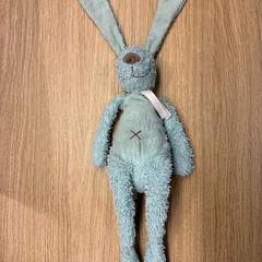 Brinquedo Mintgroen, como reportado por Gemeente Oirschot utilizando o iLost