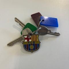 Klíčenka, jak nahlášeno Gemeente Noordwijk pomocí iLost