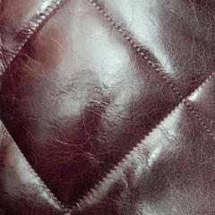 Poltsa Rood, gisa salatu by Arriva Friesland / Groningen iLost erabiliz