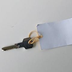 Schlüssel, gemeldet von Centraal magazijn über iLost