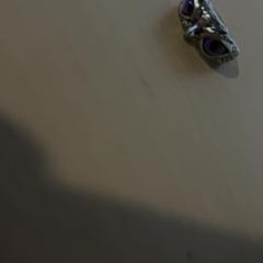 Ring Oog, as reported by Jaarbeurs using iLost