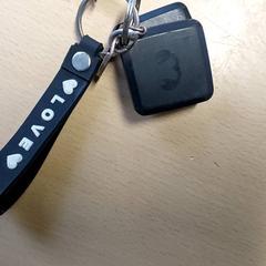 Schlüsselbund, gemeldet von Regio Limburg - Leuven über iLost