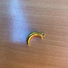 Hangertje, as reported by Gemeente Zutphen using iLost