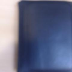 Billetera, ha sido reportado por Walibi Holland con iLost