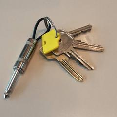 Portachiavi bos, come riportato da LUMC utilizzando iLost